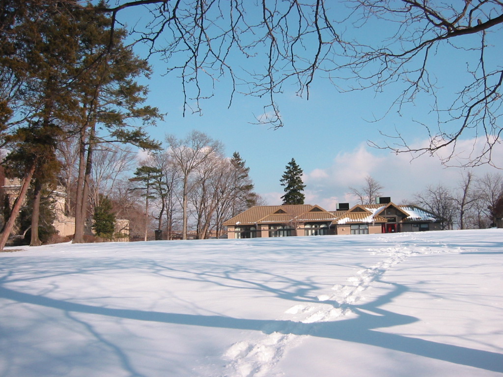 footprints of a woman in the snow as they cross