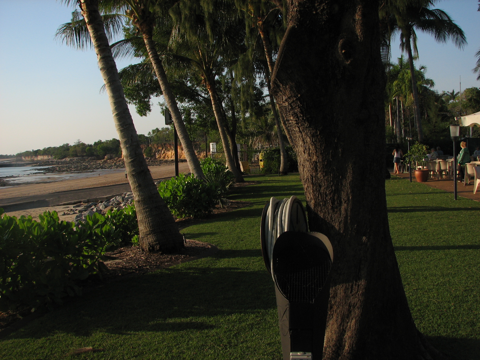 the park area of a tropical resort is seen by a shoreline