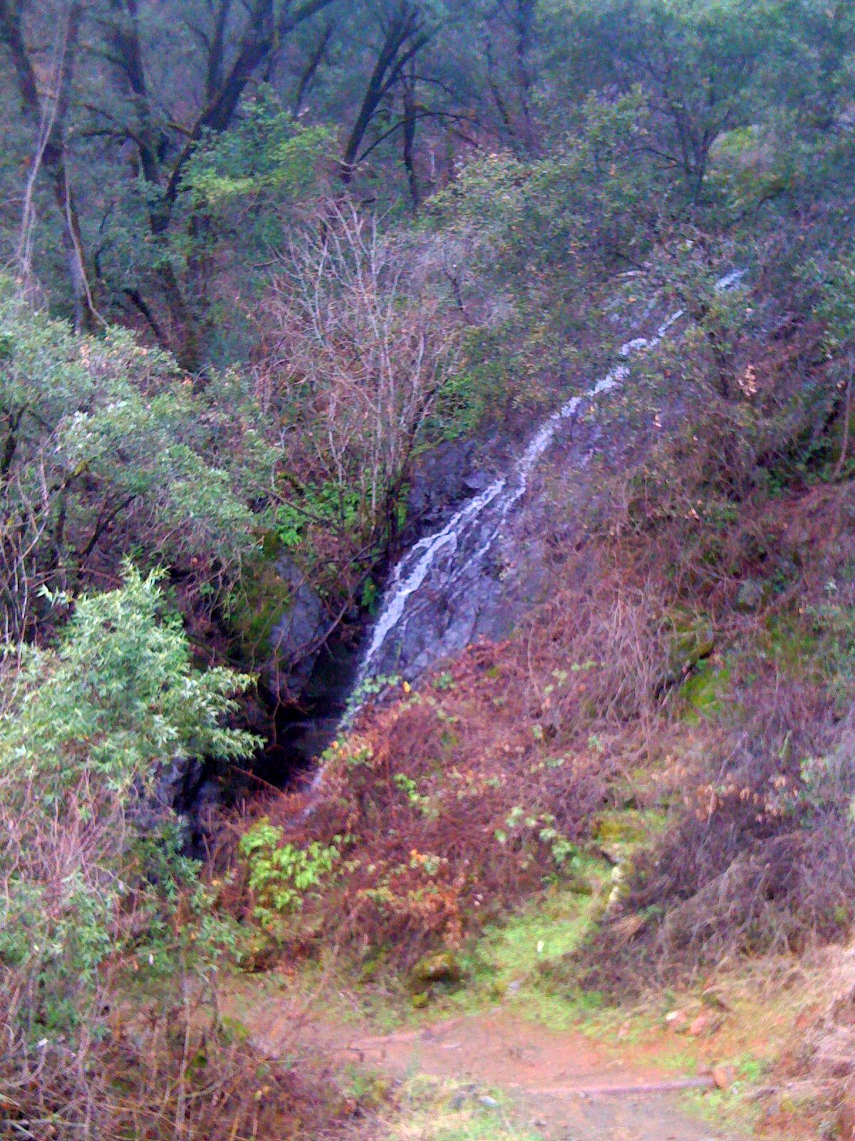 a small waterfall in the middle of trees and water