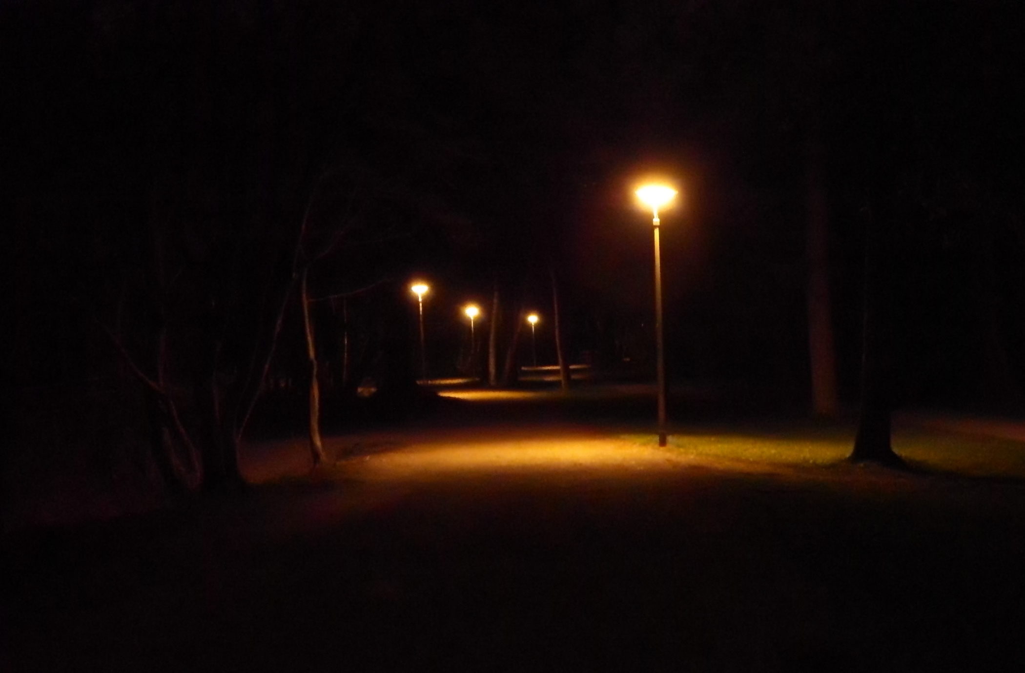 a dark park with some street lamps lit up