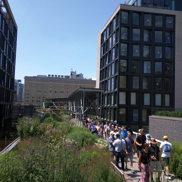 a long, green roof garden is at the top of a bridge
