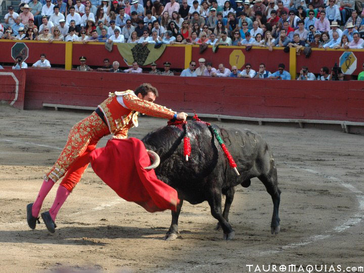 a bull and a mata in a ring with a crowd