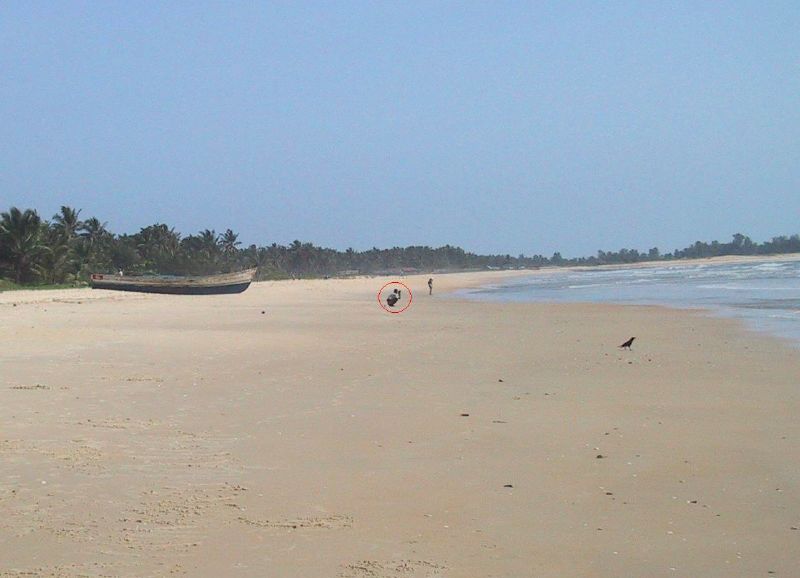 a person on a beach with a canoe in the background