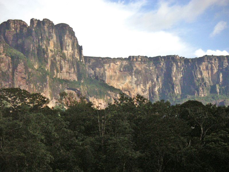 the mountains are covered with lots of trees