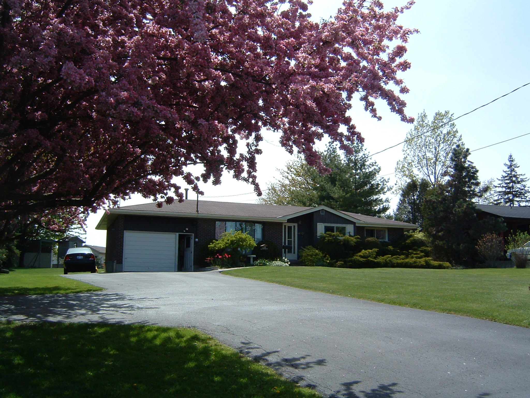 the house is next to a very pretty pink tree