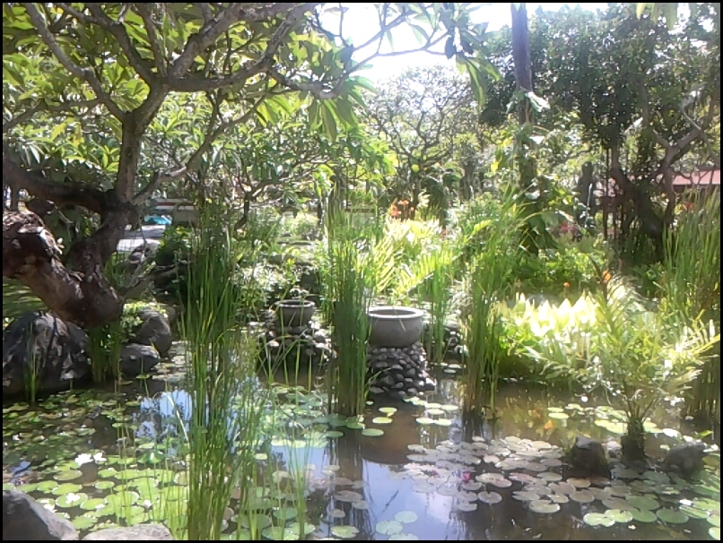 a garden with a pond and a pond made of small rocks