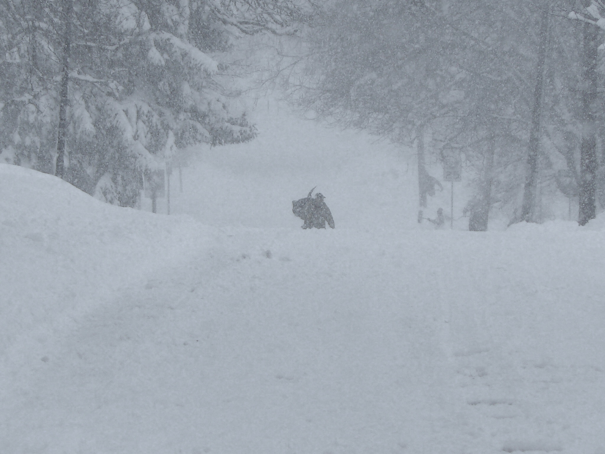 a group of people riding skis down a snow covered slope