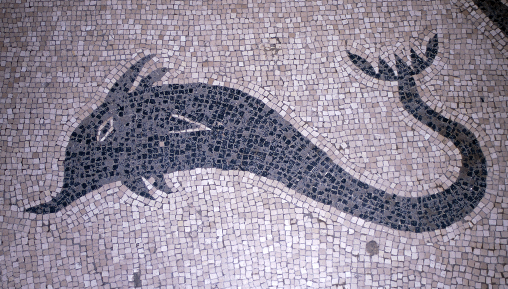 a mosaic showing an ornate lizard sitting on it's side
