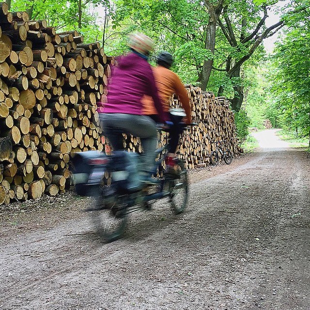 a man and woman riding on a bike next to piles of logs