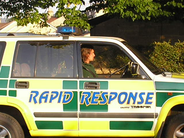 a person in the back seat of a yellow and green police car