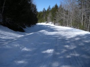 a person riding skis on a snowy surface