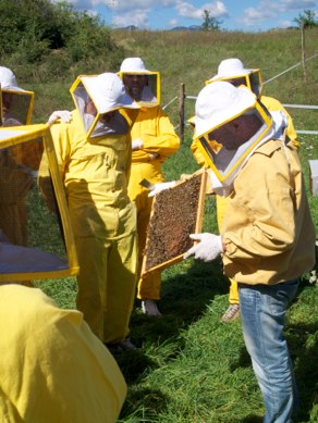 some people in yellow bees suits standing near a fence