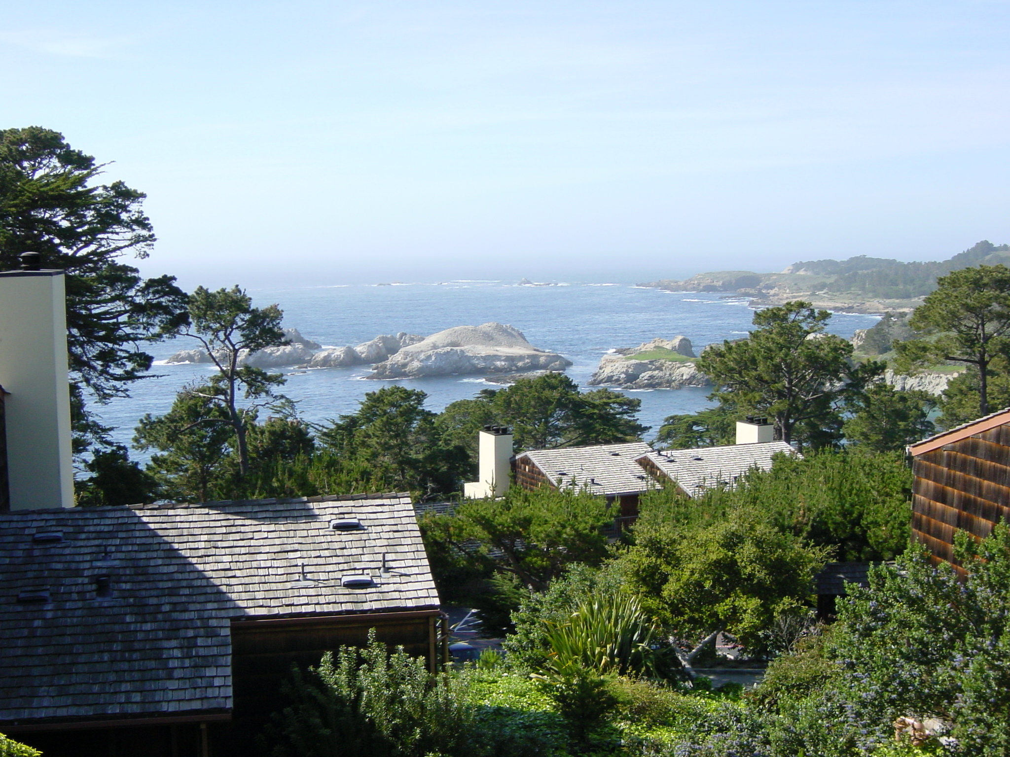 a view from above of the woods and houses with water in the distance