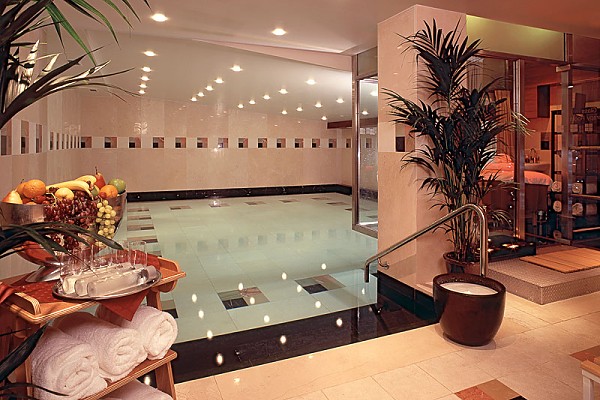 a lavish el spa with a pool and a potted plant