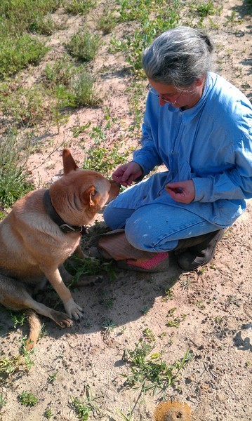 a man is petting his dog in the field