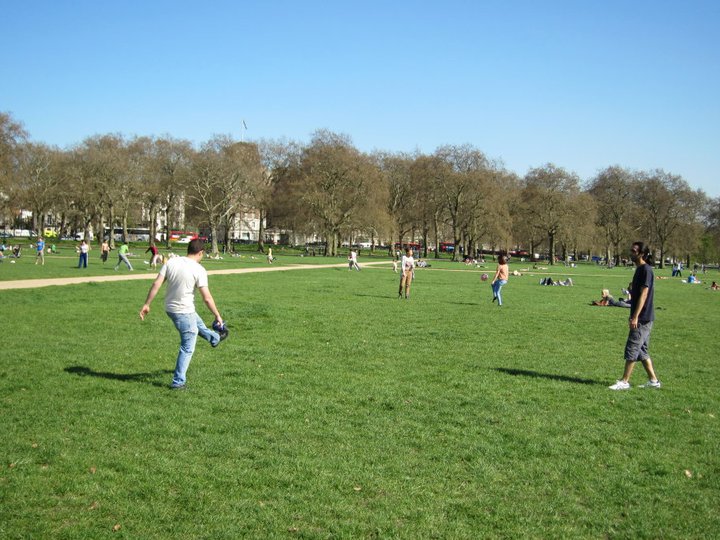 people in a field playing frisbee and flying disc golf