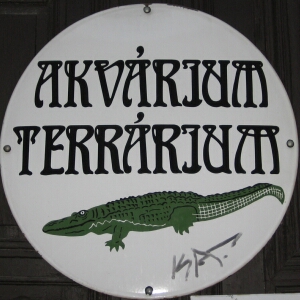 a white sign with an image of a green alligator and black lettering