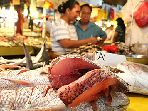 the fish are ready for sale at the market