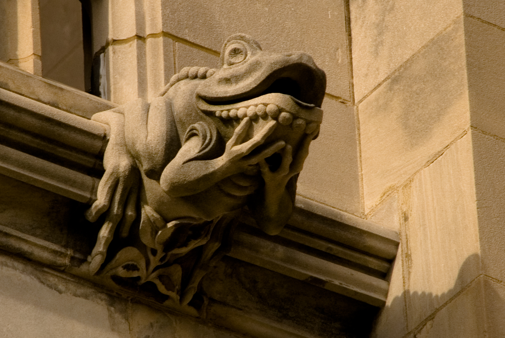 the head of a gargoyle encaged on a building ledge