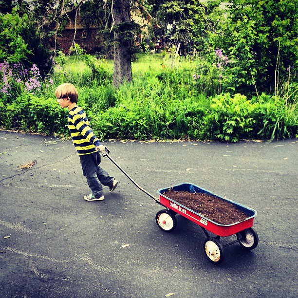 a small boy pulling a wagon with a dog in it