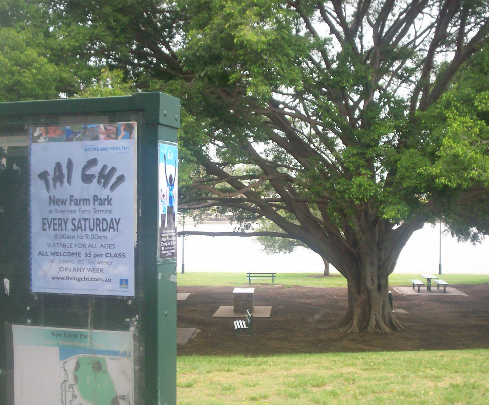 some park benches and a tree with signs on it