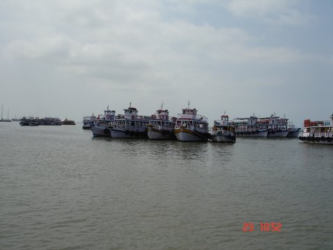 a group of boats are in the water next to shore
