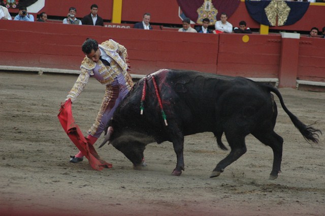 a bull being held by a mata claus, in an arena