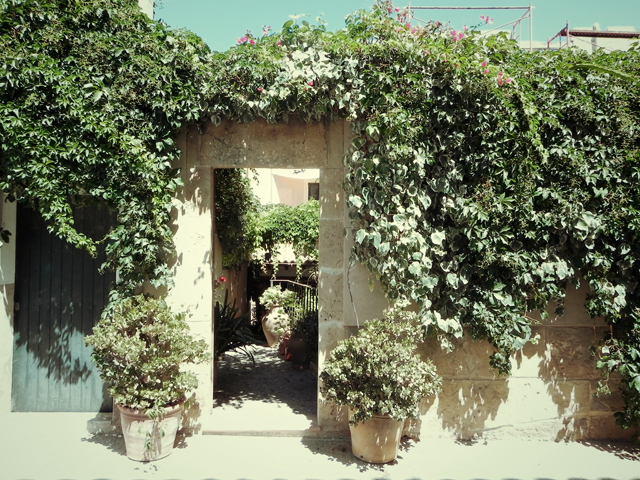 a stone arch covered in vines and plants