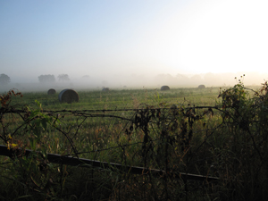 a misty view from behind a wire fence