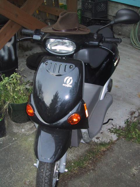 a black motorcycle parked next to a green pot