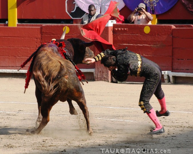 a woman trying to grab the back of a bull