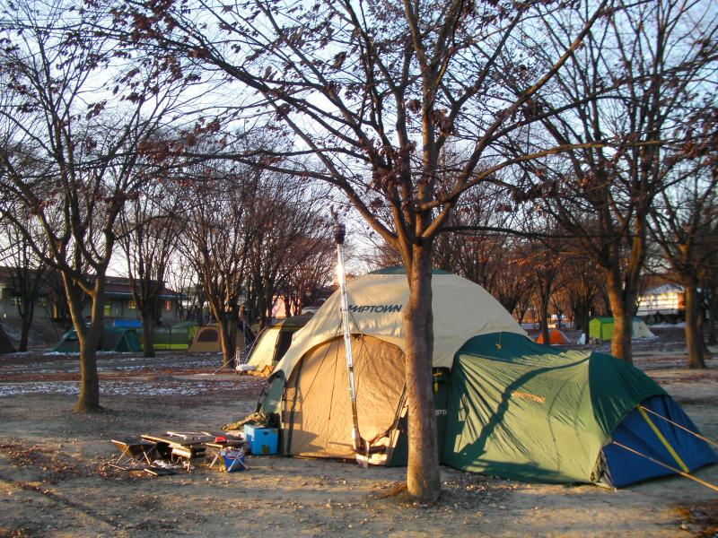 tented tents are pitched against a tree by some camping equipment