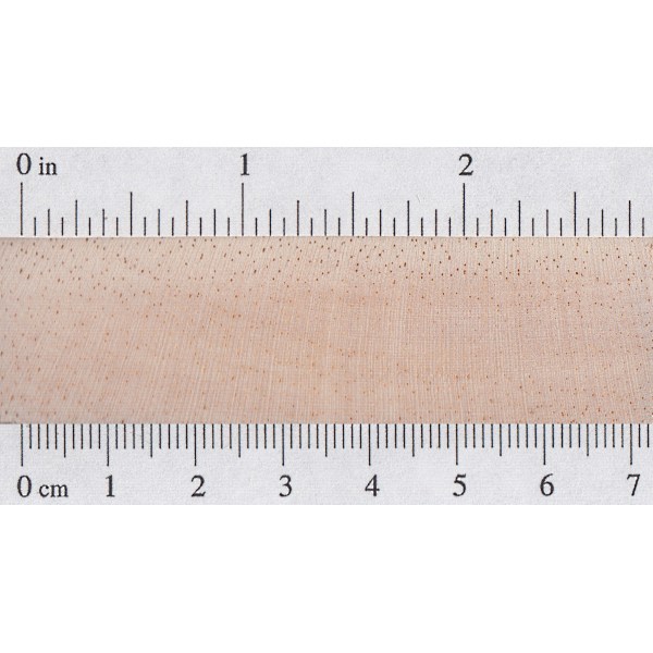 a ruler with wooden background that has holes on it