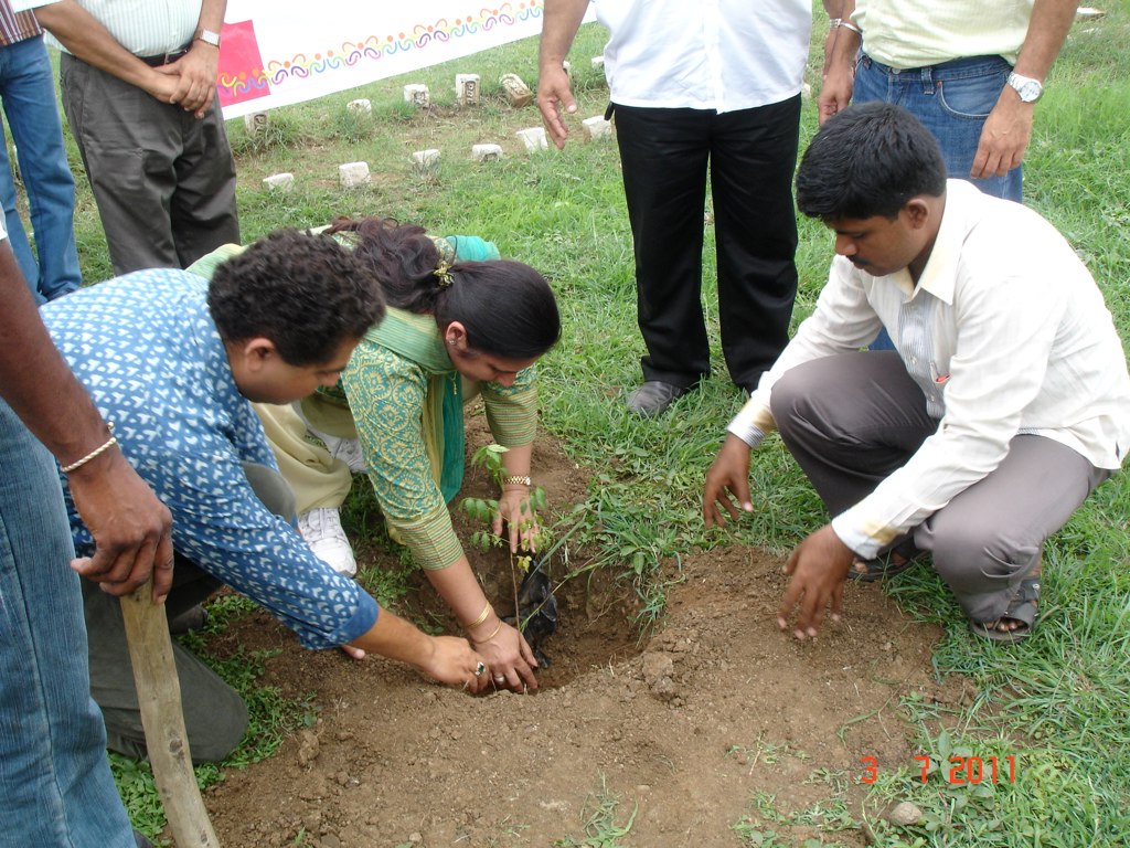 four people are planting a tree in the grass