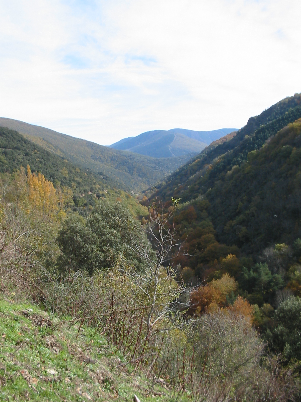 a scenic view of mountains and trees near the river