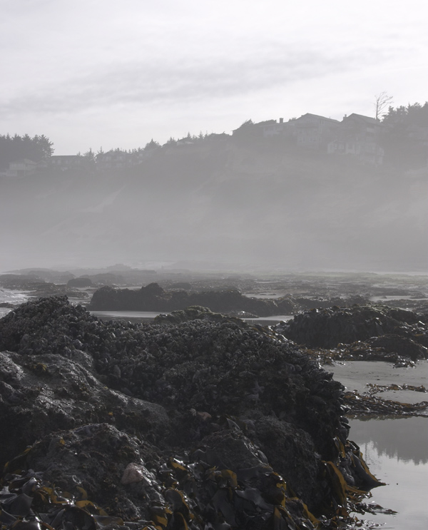 fog is rising above a landscape in this black and white po