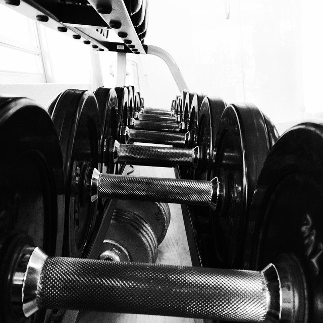 several rows of dumbbells are lined up and ready for use