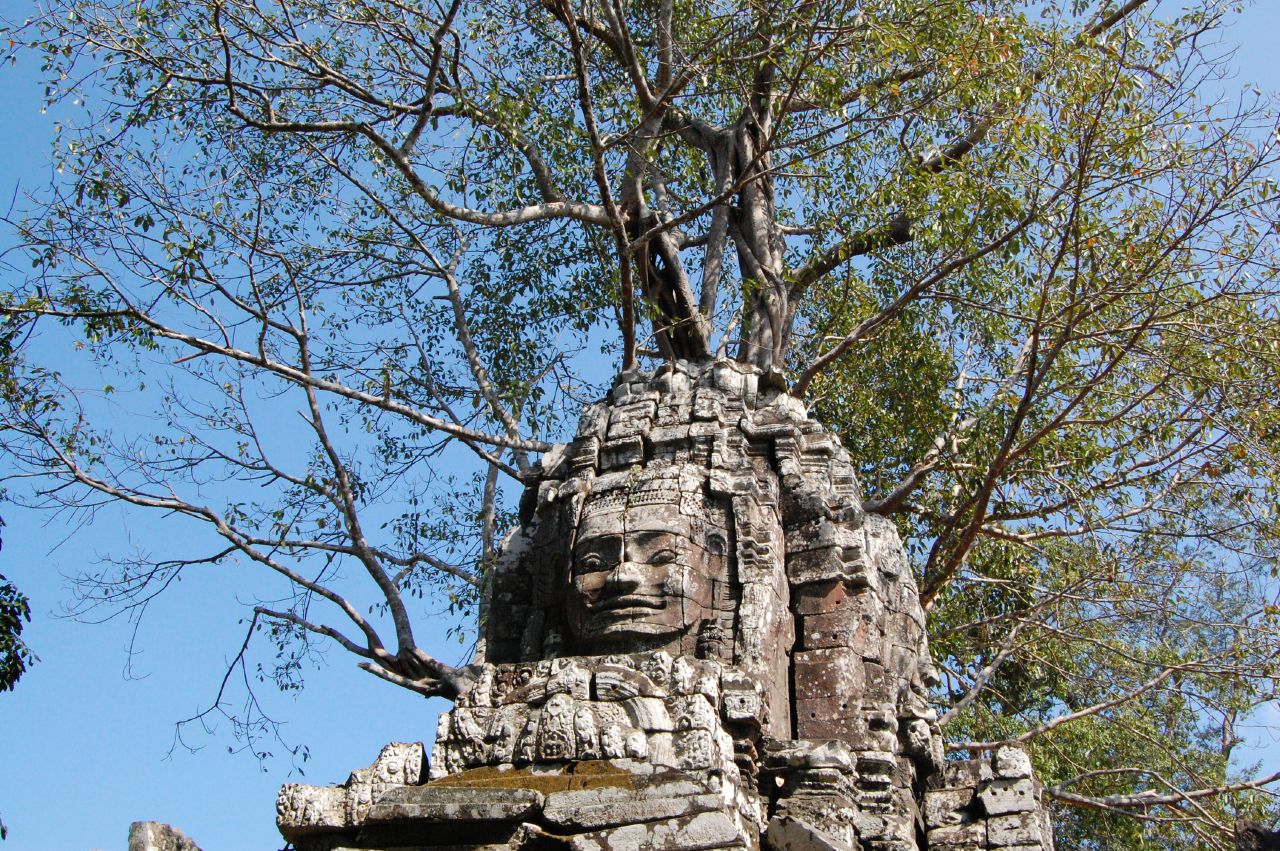 an old building with a tree growing from the top