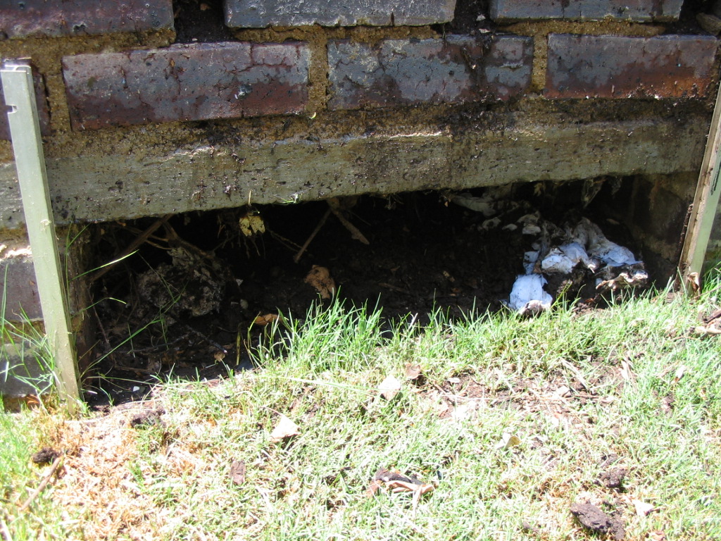 trash is strewn about a brick wall outside