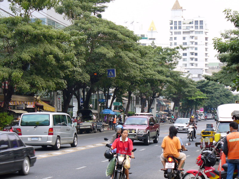 a busy city street with several people on bicycles