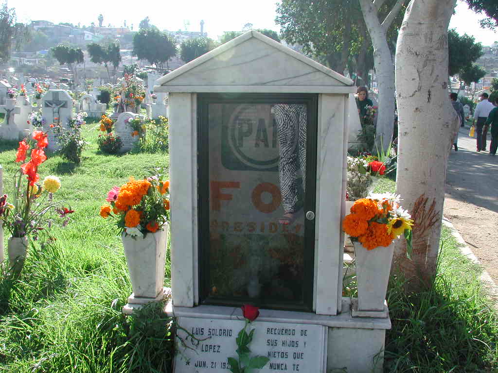 a headstone on grass next to a tree and grave