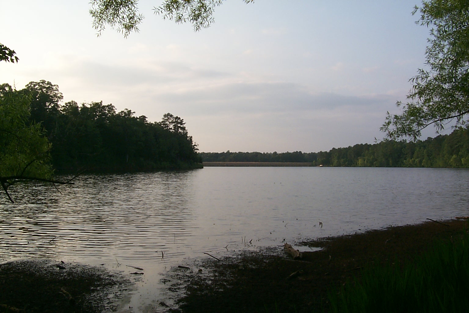 a view of a body of water, surrounded by trees