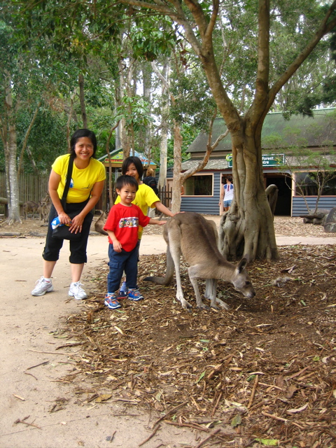 the children are near a small kangaroo in a zoo
