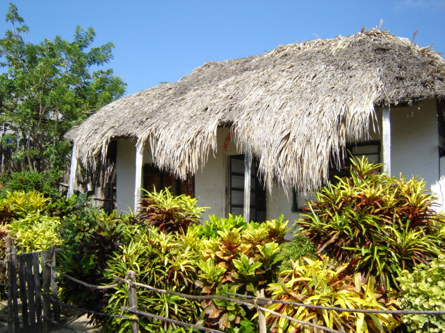 a thatched roof house with a pathway next to it
