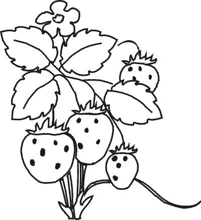 coloring pages printable of strawberrys with their leaves