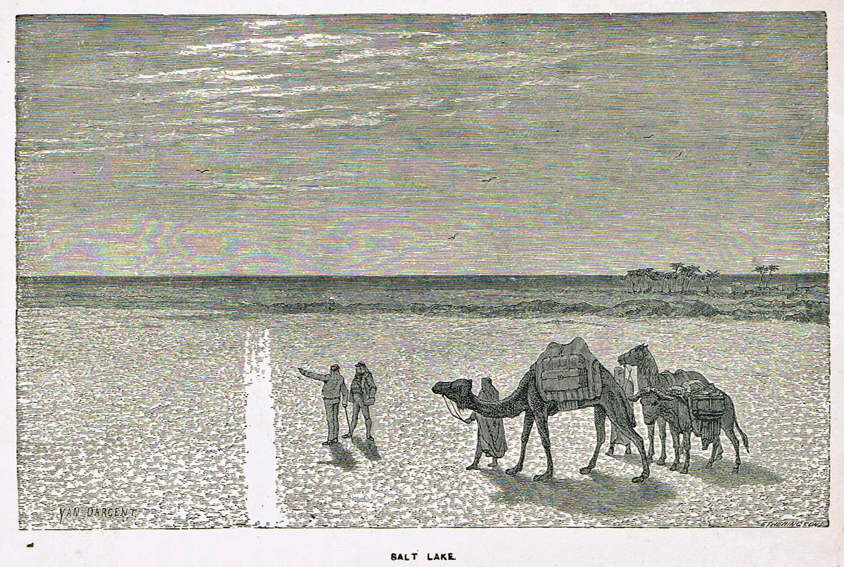 a black and white drawing of a herd of camels