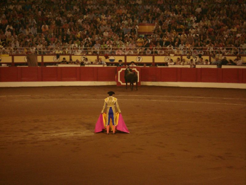 a man standing next to a cow in a arena
