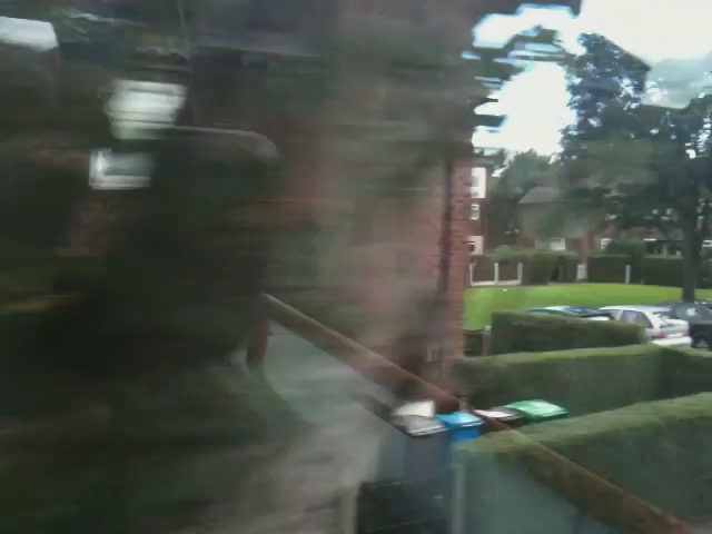 blurred image of trees and buildings in the background
