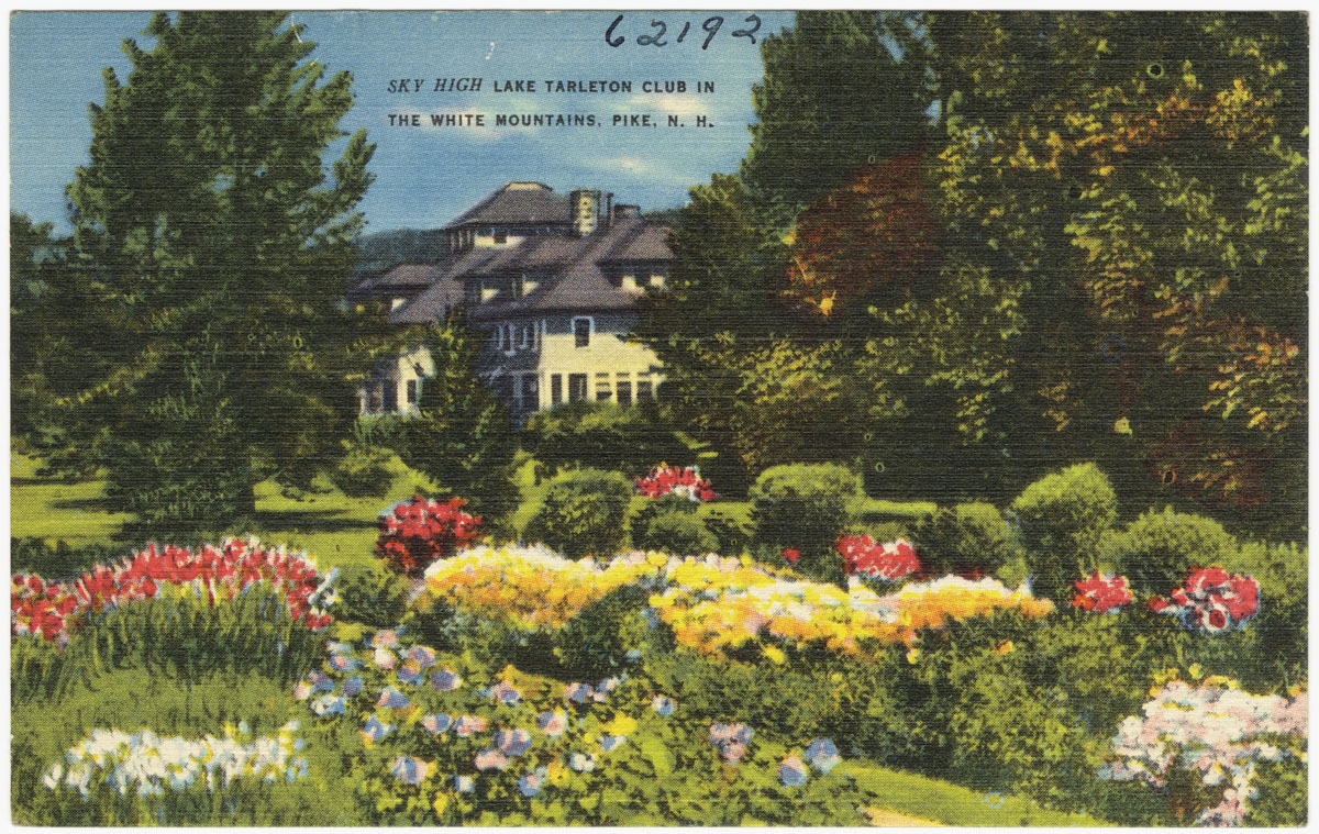 this is an old postcard with flowers and trees