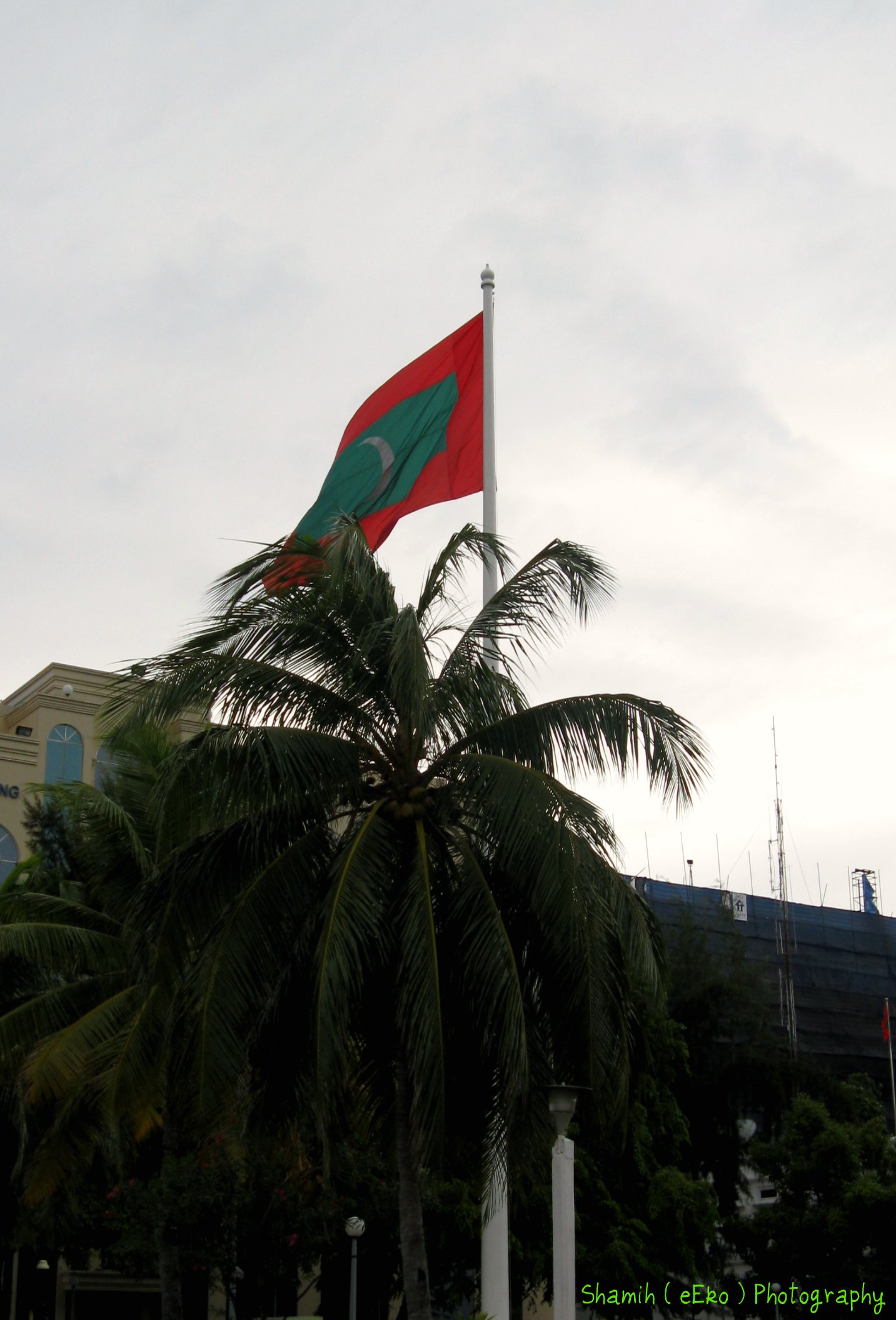 a building with trees and a large red and green flag